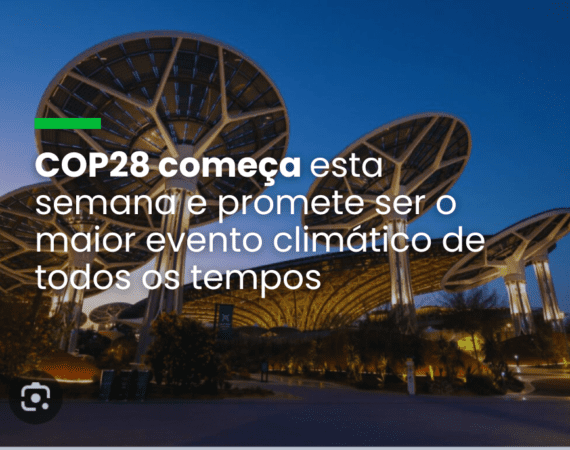Queda no desmatamento da Amazônia é principal avanço que Lula tem a apresentar