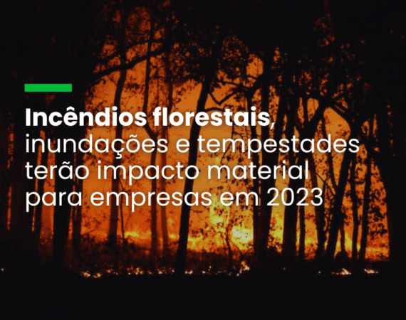 Incêndios florestais, inundações e tempestades terão impacto material para empresas em 2023