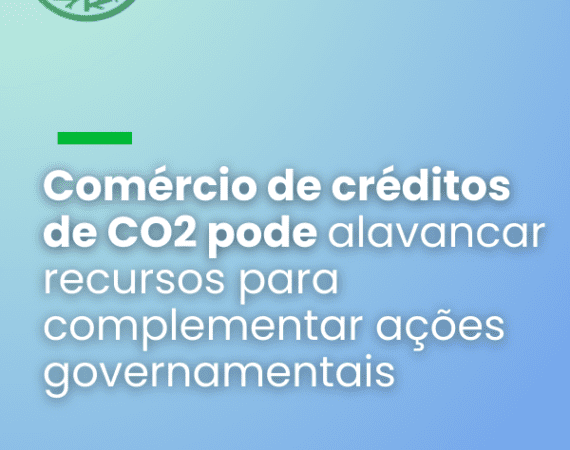 Comércio de créditos de CO2 pode alavancar recursos para complementar ações governamentais
