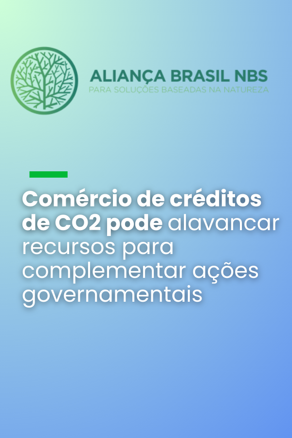 Comércio de créditos de CO2 pode alavancar recursos para complementar ações governamentais