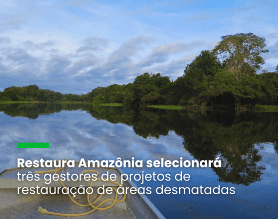 Restaura Amazônia selecionará três gestores de projetos de restauração de áreas desmatadas