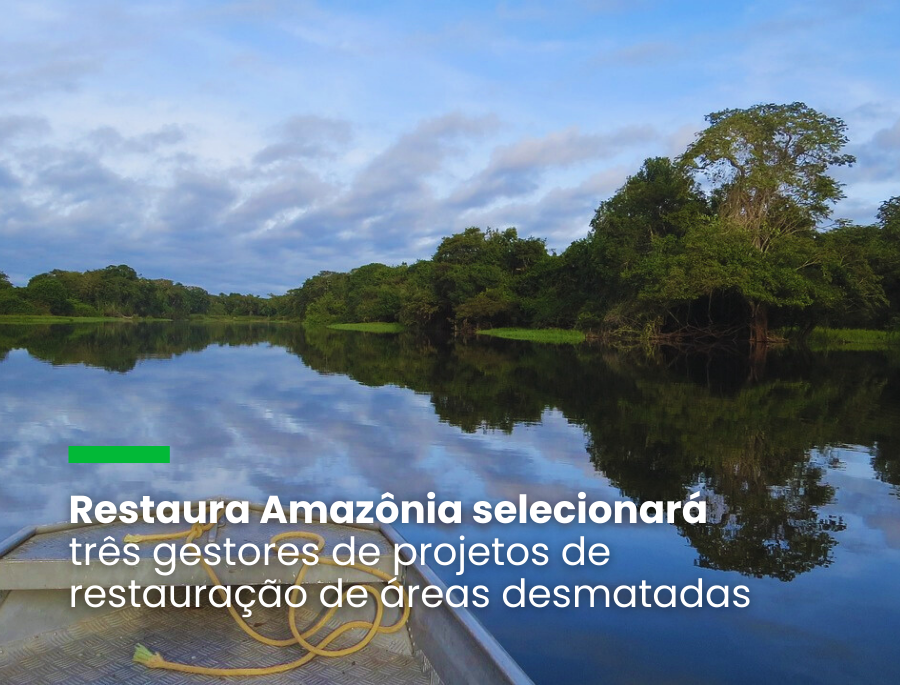 Restaura Amazônia selecionará três gestores de projetos de restauração de áreas desmatadas