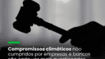 A litigância climática é real e tende a aumentar, afirma ao Carbon Report a advogada Mariana Níquel, do Souto e Correa Advogados