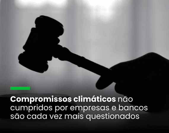 A litigância climática é real e tende a aumentar, afirma ao Carbon Report a advogada Mariana Níquel, do Souto e Correa Advogados