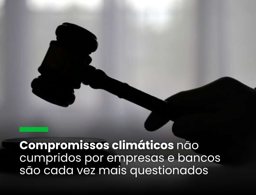Taxonomia sustentável prevista para 2026 ajudará a diminuir greenwashing e ações judiciais