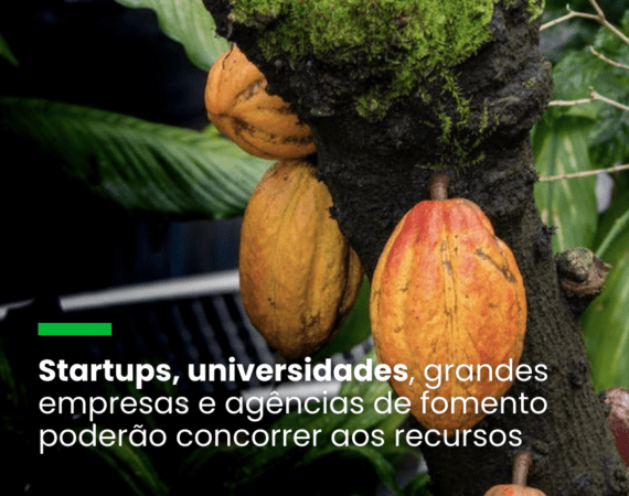 agricultura regenerativa, energias renováveis e circularidade, reflorestamento sustentável, Nestlé, SENAI