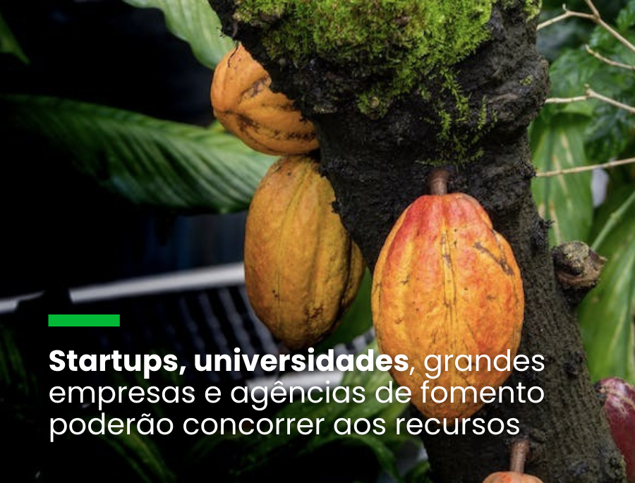 agricultura regenerativa, energias renováveis e circularidade, reflorestamento sustentável, Nestlé, SENAI