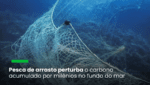 Pesca de arrasto perturba o carbono acumulado por milênios no fundo do mar