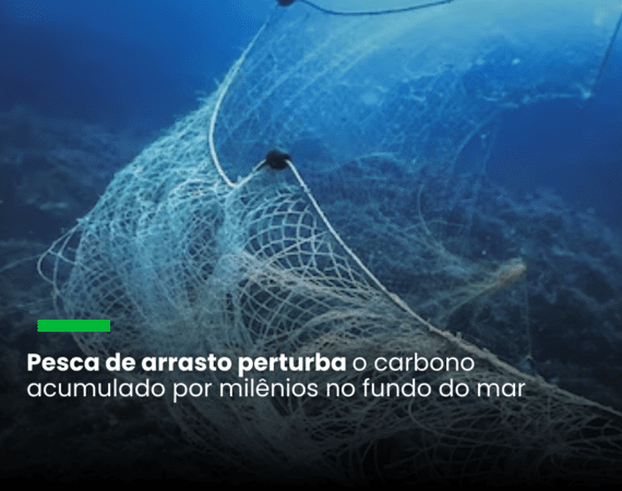 Pesca de arrasto perturba o carbono acumulado por milênios no fundo do mar