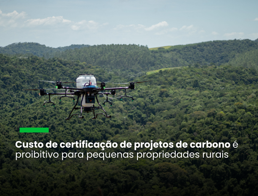 Recuperação ecológica em fazenda no RJ vai gerar lucro com a venda de créditos de CO2