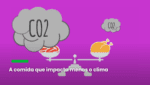O Food Connection fala em contar emissões de carbono, em vez de calorias, enquanto o Climatarian.com defende a comida com menor pegada de carbono para ajudar a salvar o planeta