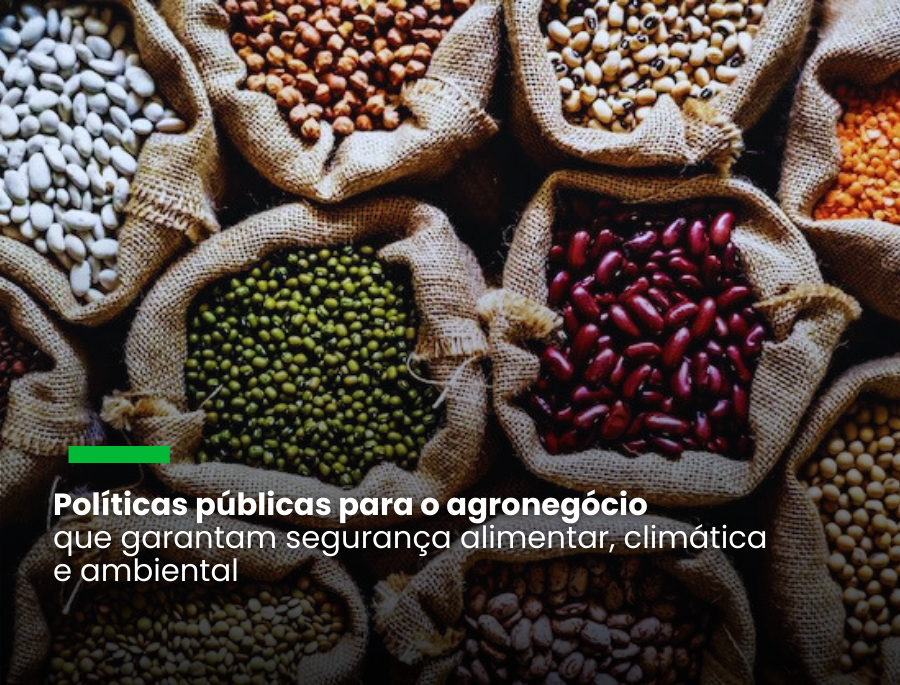 Câmara Temática de Agrocarbono Sustentável começa a funcionar em março