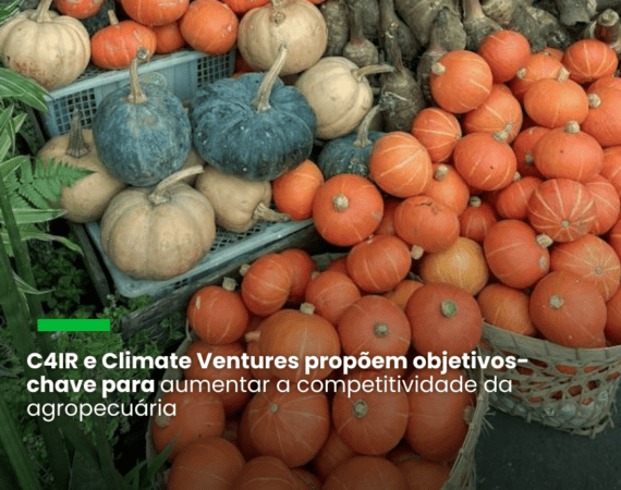 C4IR e Climate Ventures propõem objetivos-chave para aumentar a competitividade da agropecuária