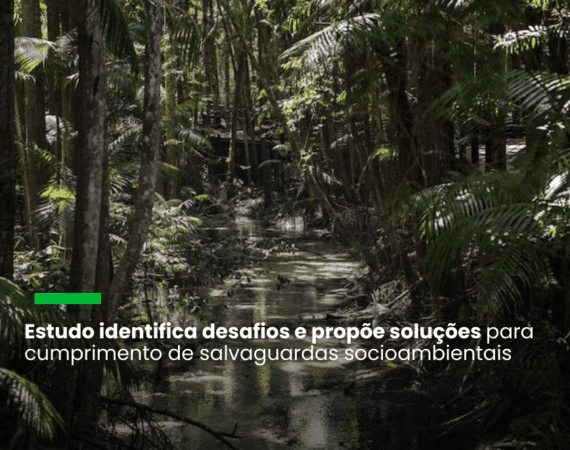 “Sem os povos da floresta, nenhuma iniciativa de REDD+ funciona”, diz pesquisadora do IPAM