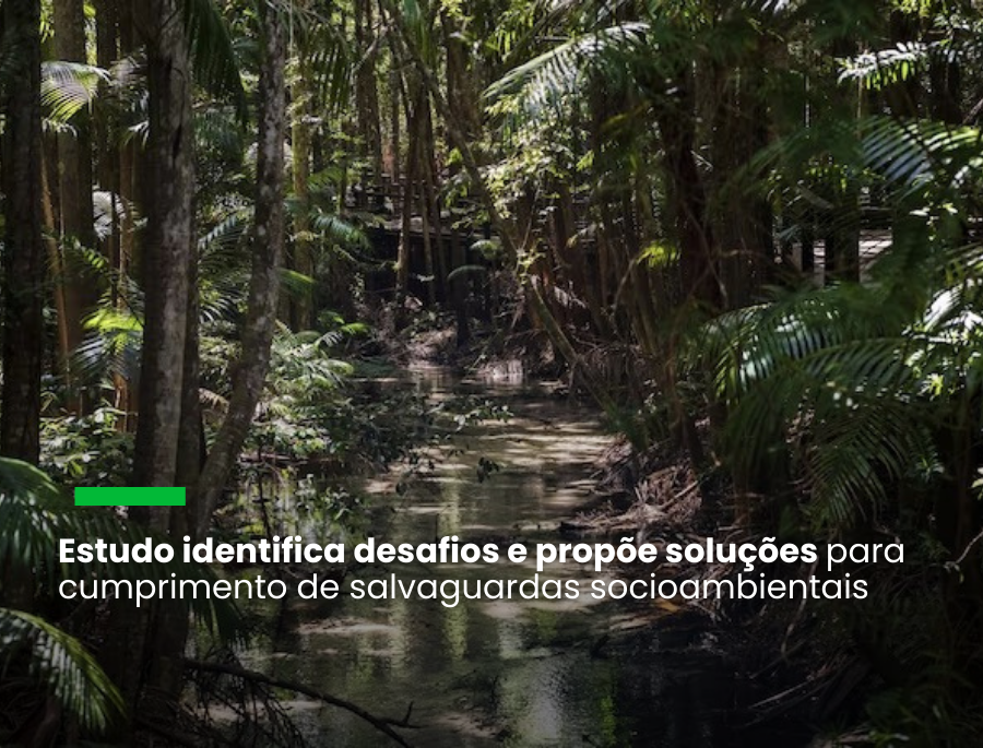 “Sem os povos da floresta, nenhuma iniciativa de REDD+ funciona”, diz pesquisadora do IPAM