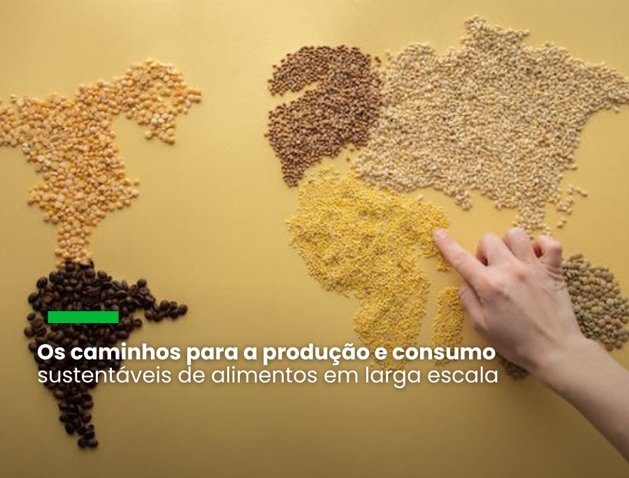 Evento debate soluções para equilibrar produção agrícola e desmatamento zero