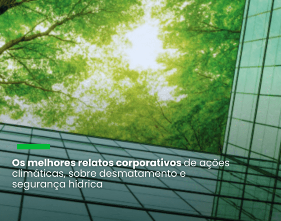 Sete empresas brasileiras entram para a lista global do CDP de divulgação ambiental nota A