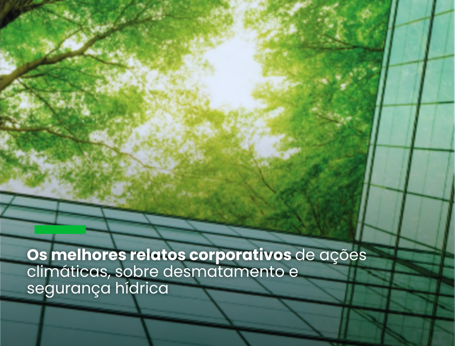 Sete empresas brasileiras entram para a lista global do CDP de divulgação ambiental nota A