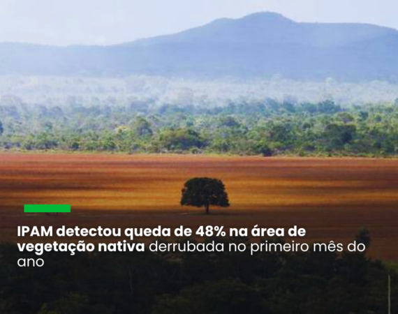 Desmatamento no Cerrado desacelerou em janeiro, mas ficou 10% acima de igual mês de 2024