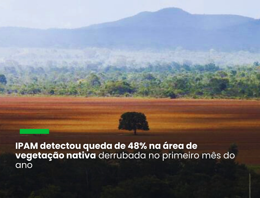 Desmatamento no Cerrado desacelerou em janeiro, mas ficou 10% acima de igual mês de 2024