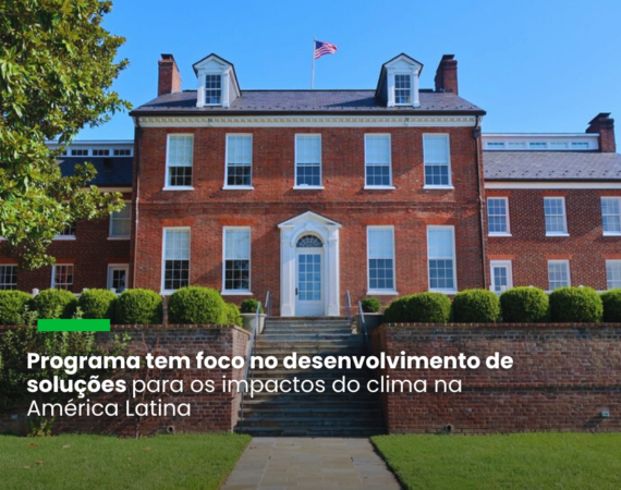 Incubadora Halcyon abre inscrições para bolsas voltadas a startups brasileiras