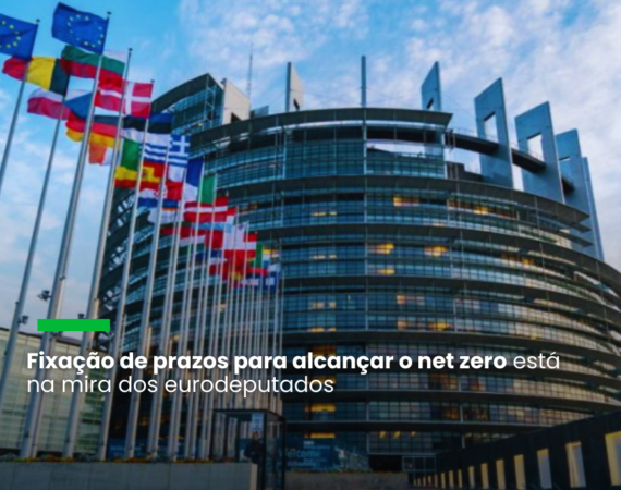 Parlamento Europeu vota a favor de regras mais duras contra o greenwashing
