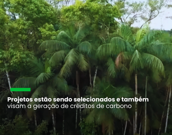 Fornecedores da Apple vão investir US$80 milhões em restauração ecológica na América do Sul