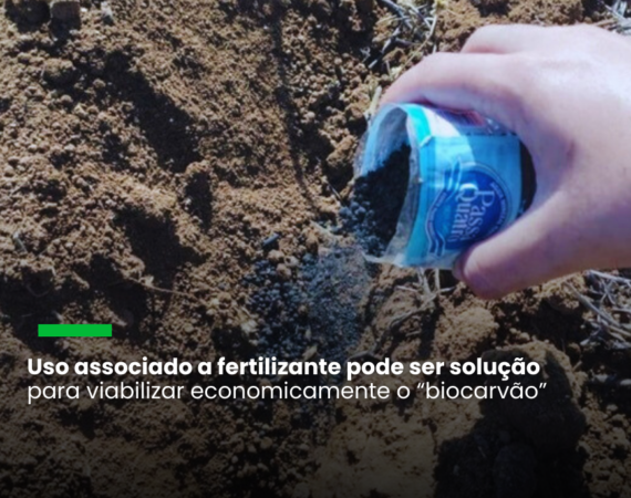 Alto custo é hoje o principal entrave para a difusão do condicionador natural de solo, avalia o engenheiro agrônomo Leônidas Carrijo Azevedo Melo