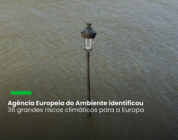 Perigo climático exige medidas urgentes em cinco principais áreas: ecossistemas, alimentação, saúde, infraestruturas e economia e finanças