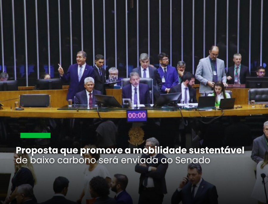 Plenário da Câmara. Mario Agra/Câmara dos Deputados. Fonte: Agência Câmara de Notícias