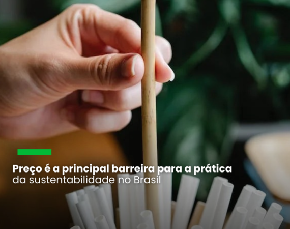 Pesquisa do Instituto Akatu: para 57% dos brasileiros, vida sustentável é muito cara