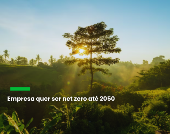 Unipar tem avaliação elevada no combate às mudanças climáticas