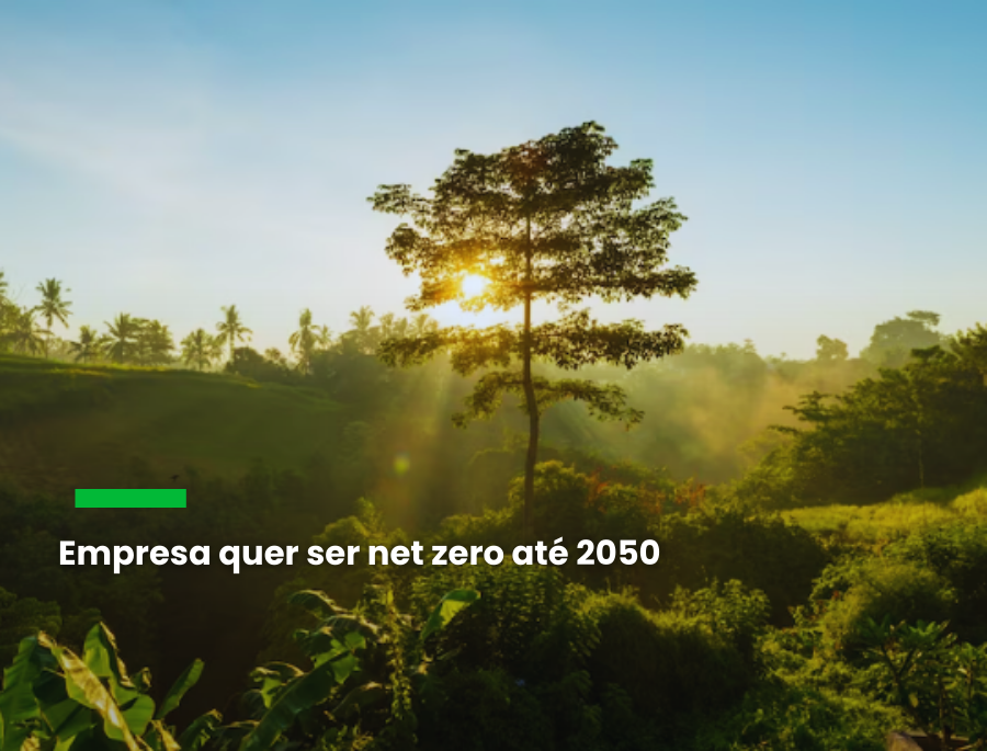 Unipar tem avaliação elevada no combate às mudanças climáticas