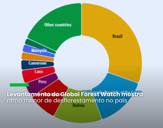 Trópicos tiveram 3,7 milhões de vegetação eliminada, o equivalente a dez campos de futebol por minuto e à emissão de 2,4 gigatoneladas de CO2