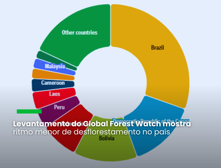 Trópicos tiveram 3,7 milhões de vegetação eliminada, o equivalente a dez campos de futebol por minuto e à emissão de 2,4 gigatoneladas de CO2