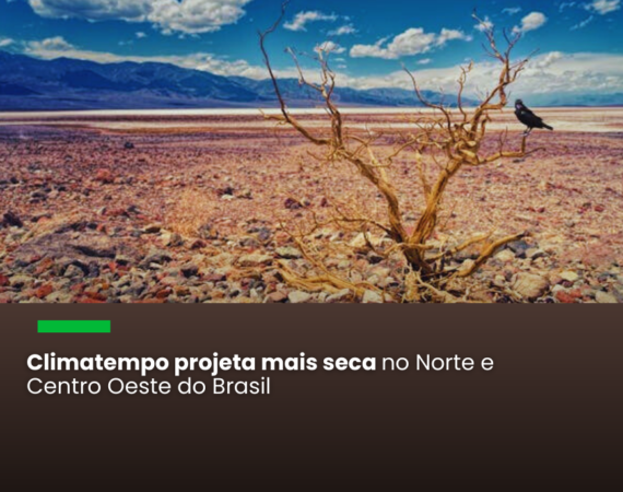 Fenômeno deve ocorrer a partir de junho e provocar secas prolongadas em regiões com hidrovias para escoamento de produtos, como os da na Zona Franca de Manaus e a produção agrícola