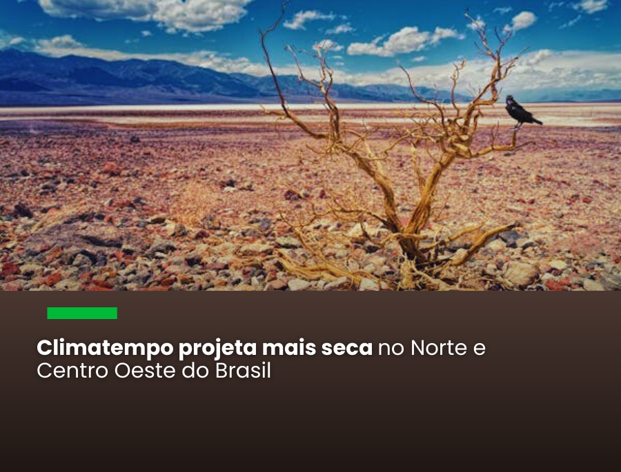 Fenômeno deve ocorrer a partir de junho e provocar secas prolongadas em regiões com hidrovias para escoamento de produtos, como os da na Zona Franca de Manaus e a produção agrícola