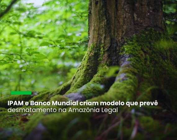 Ferramenta indica que desmatamento acumulado entre 2020 e 2025 será de cerca de 50.000 km2, 35% maior do que quando se leva em consideração a governança e os fatores macroeconômicos