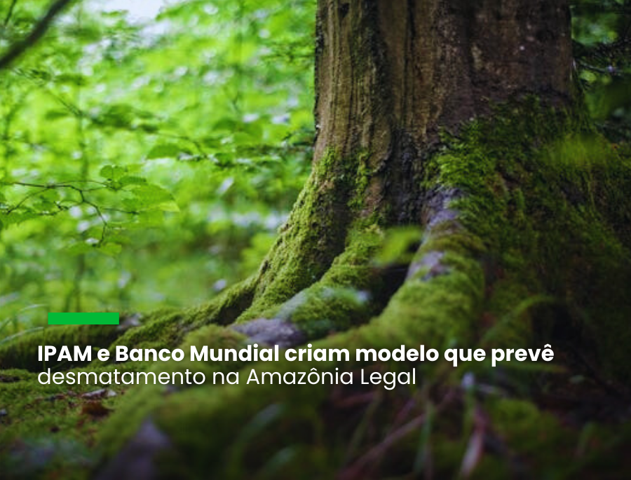 Ferramenta indica que desmatamento acumulado entre 2020 e 2025 será de cerca de 50.000 km2, 35% maior do que quando se leva em consideração a governança e os fatores macroeconômicos