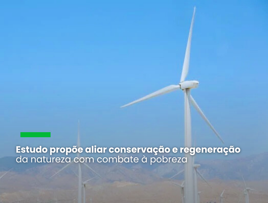 Descarbonização é apontada como oportunidade para a indústria, segundo pesquisa da Fundação Arymax, B3 Social, Instituto Golden Tree e Instituto Itaúsa que focou quatro setores prioritários