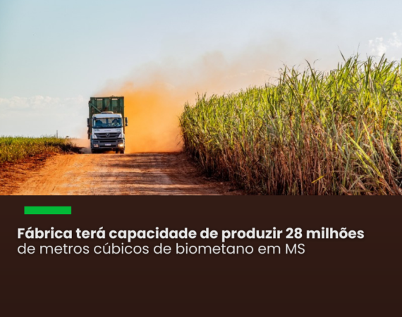 A Unidade, com capacidade de produção de 28 milhões de m³ de biometano por safra, será a primeira do gênero da companhia e ficará localizada em Nova Alvorada do Sul (MS)
