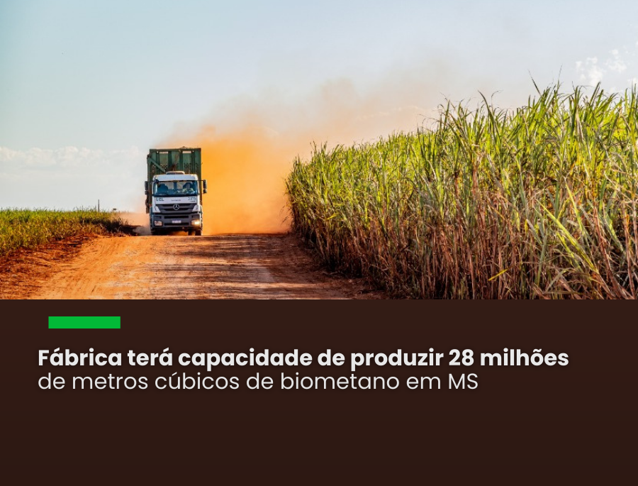 A Unidade, com capacidade de produção de 28 milhões de m³ de biometano por safra, será a primeira do gênero da companhia e ficará localizada em Nova Alvorada do Sul (MS)