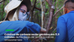 brCarbon é selecionada por edital público para executar projeto de carbono no Amazonas