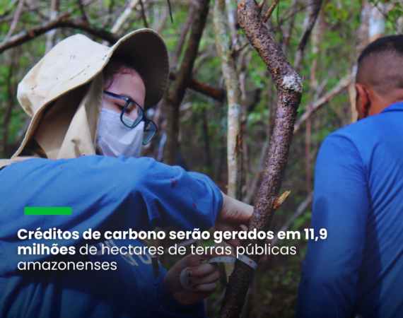 brCarbon é selecionada por edital público para executar projeto de carbono no Amazonas