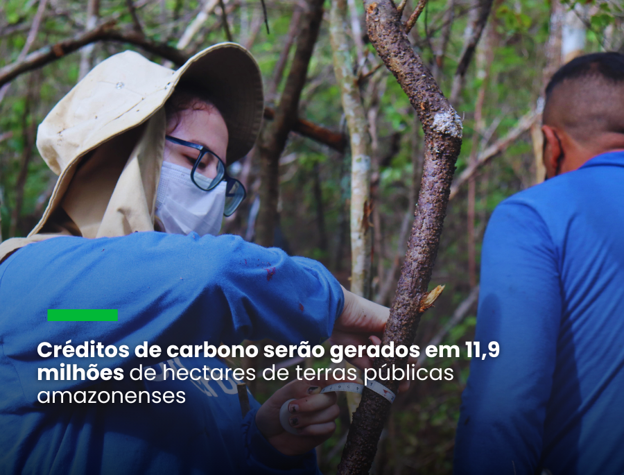 brCarbon é selecionada por edital público para executar projeto de carbono no Amazonas