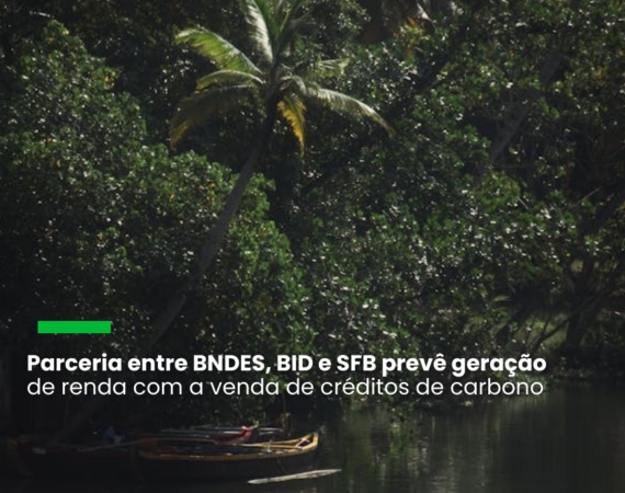 Áreas em Rondônia e no Amazonas são as primeiras contempladas pela iniciativa, que terá US$ 800 mil disponibilizados pelo BID em recursos não reembolsáveis do Fundo Verde para o Clima