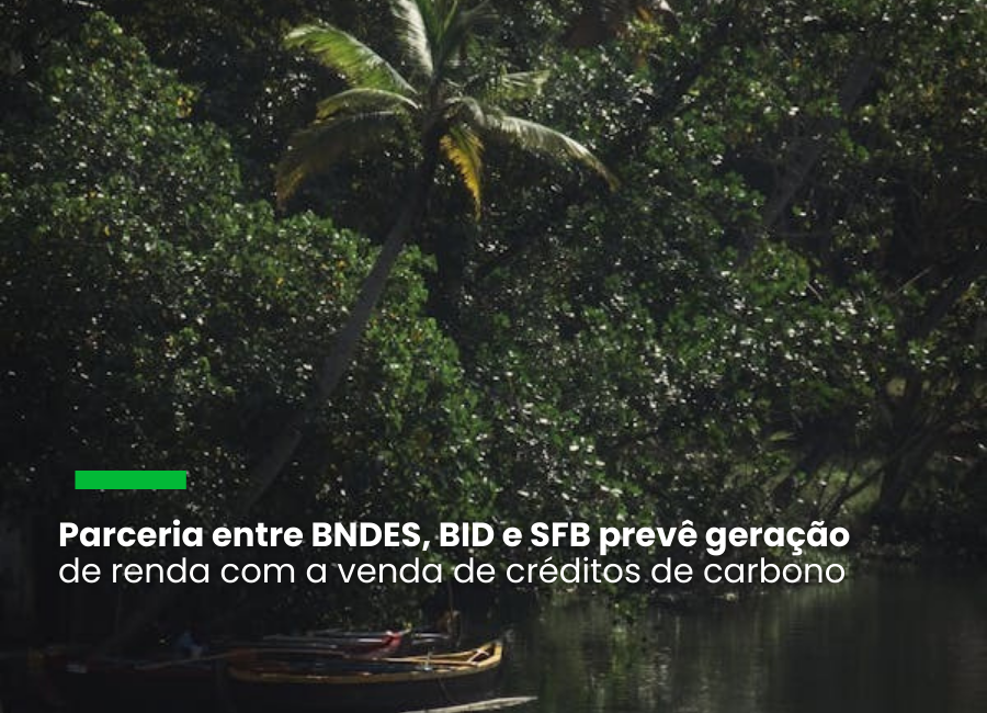 Áreas em Rondônia e no Amazonas são as primeiras contempladas pela iniciativa, que terá US$ 800 mil disponibilizados pelo BID em recursos não reembolsáveis do Fundo Verde para o Clima