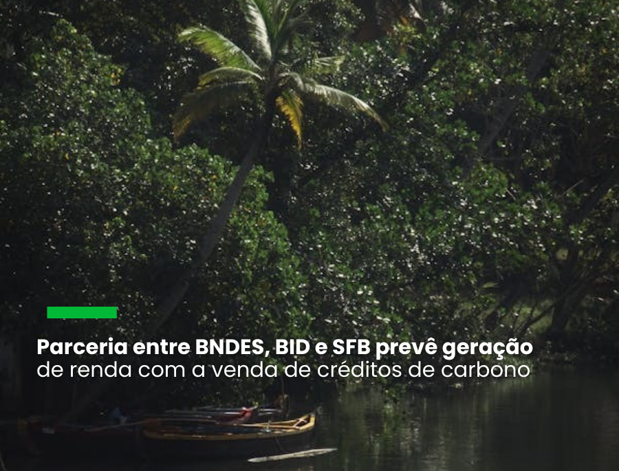 Áreas em Rondônia e no Amazonas são as primeiras contempladas pela iniciativa, que terá US$ 800 mil disponibilizados pelo BID em recursos não reembolsáveis do Fundo Verde para o Clima