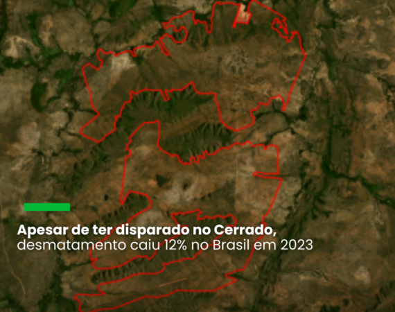 O Maranhão teve a maior área desmatada entre os estados, uma delas de 6,6 mil hectares; já o Distrito Federal registrou o maior crescimento, de 2022 para 2023: 613%
