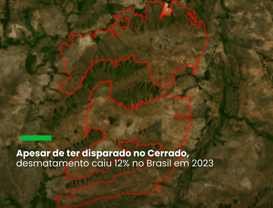 O Maranhão teve a maior área desmatada entre os estados, uma delas de 6,6 mil hectares; já o Distrito Federal registrou o maior crescimento, de 2022 para 2023: 613%